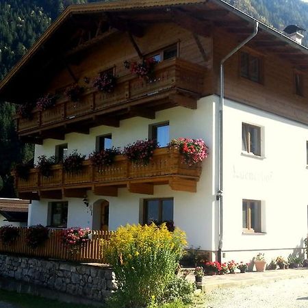 Luenerhof Pension Neustift im Stubaital Buitenkant foto