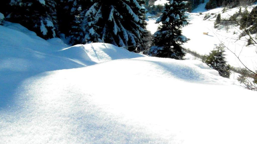 Luenerhof Pension Neustift im Stubaital Buitenkant foto