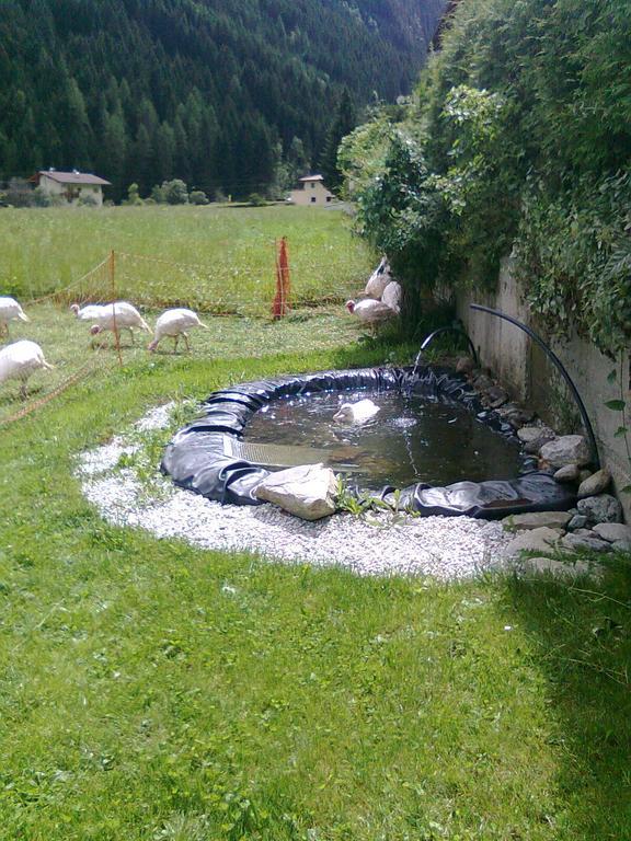 Luenerhof Pension Neustift im Stubaital Buitenkant foto